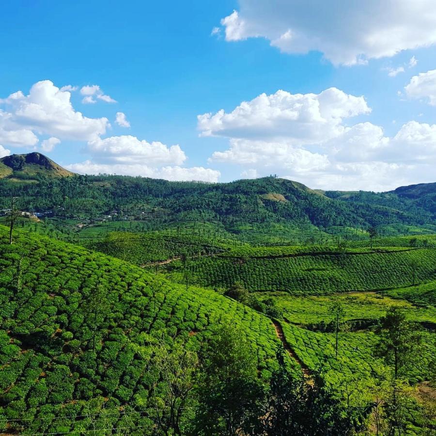 Mist Woods Vagamon Hotel ภายนอก รูปภาพ